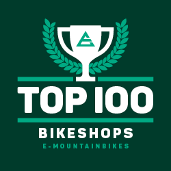 Top 100 logo green
